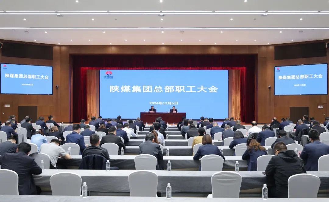 1735029665891909.jpeg 01.jpg